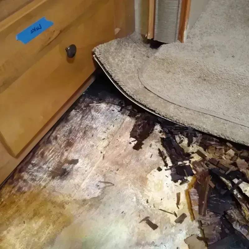 Wood Floor Water Damage in Vidalia, GA